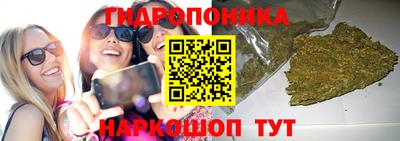 прущие грибы Первоуральск