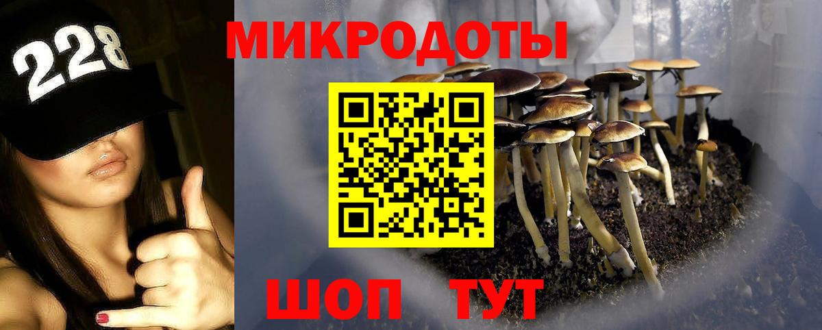 Обнинск  Галлюциногенные грибы Cubensis  Вход с VPN  Галлюциногенные грибы Magic Shrooms 