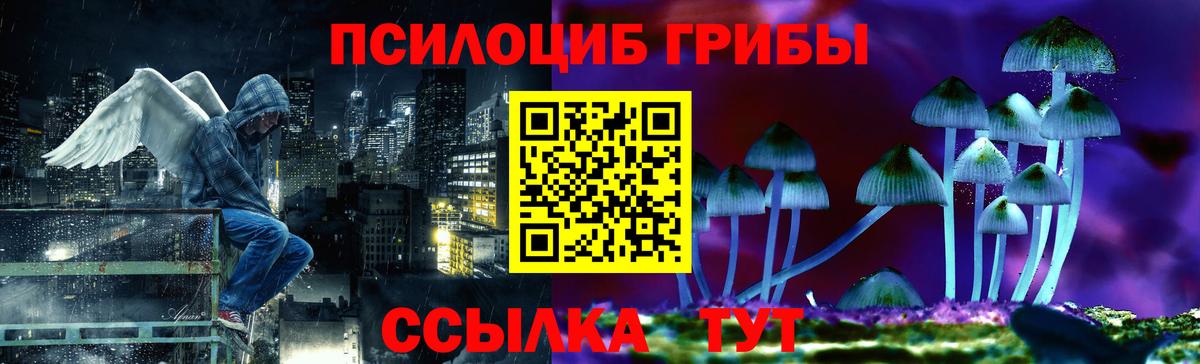 Галлюциногенные грибы Cubensis Обнинск